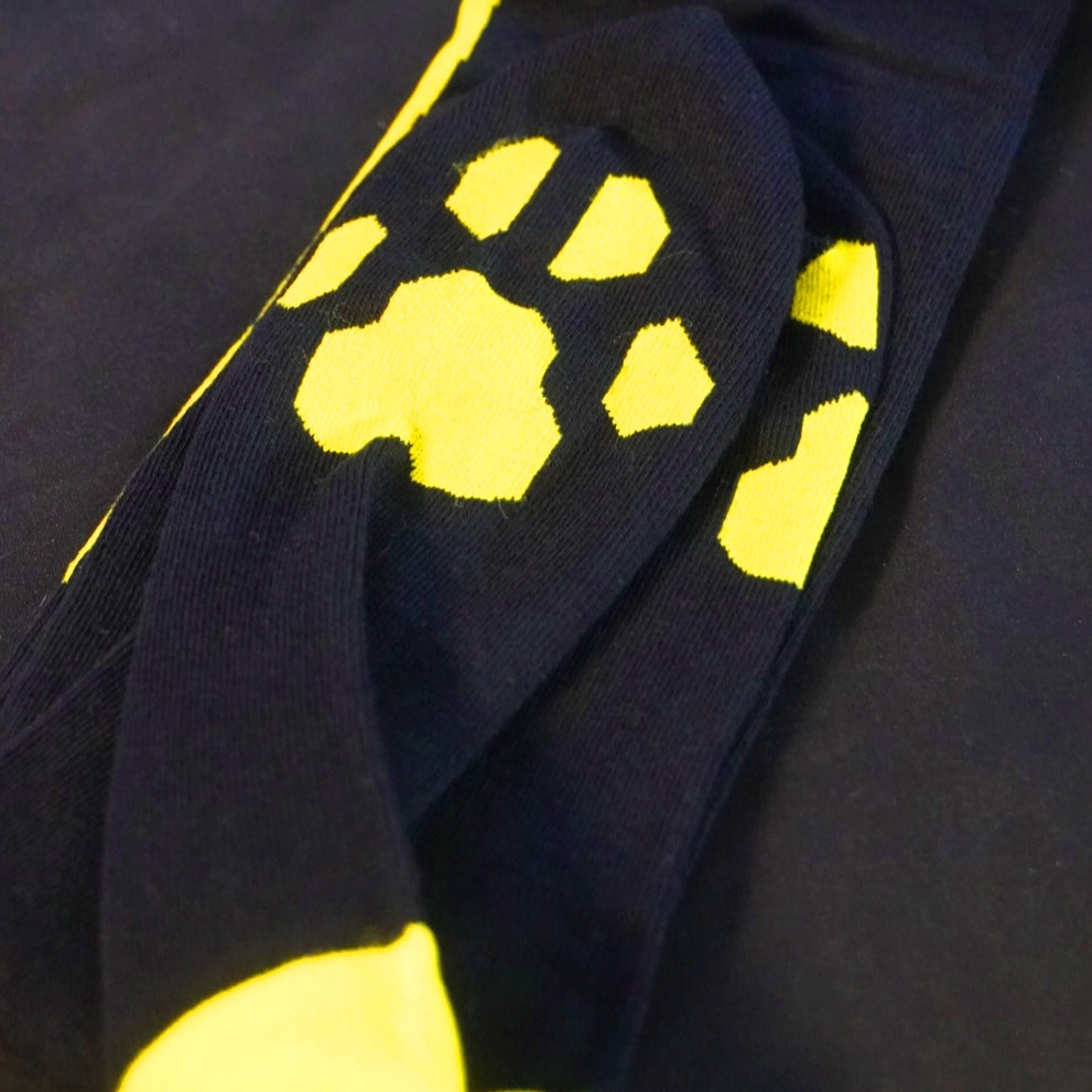 Star thigh highs Rainbow pack